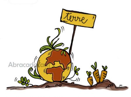aliment-terre_.jpg